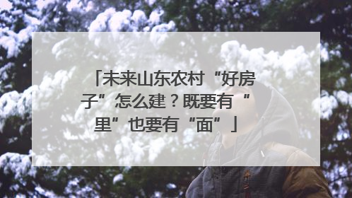 未来山东农村“好房子”怎么建？既要有“里”也要有“面”