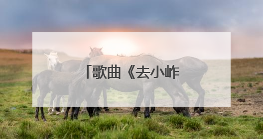 歌曲《去小岞的路上》来自于他的创作……