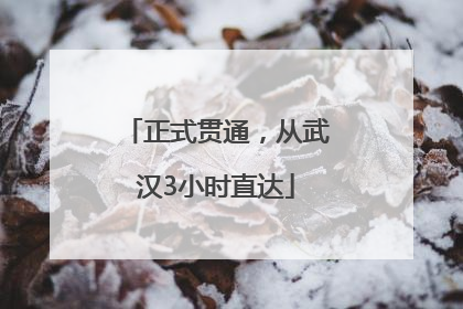 正式贯通，从武汉3小时直达