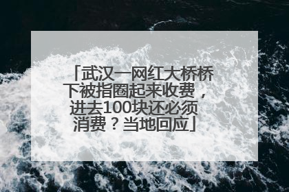 武汉一网红大桥桥下被指圈起来收费，进去100块还必须消费？当地回应