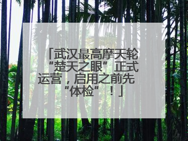 武汉最高摩天轮“楚天之眼”正式运营，启用之前先“体检”！