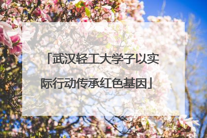 武汉轻工大学子以实际行动传承红色基因