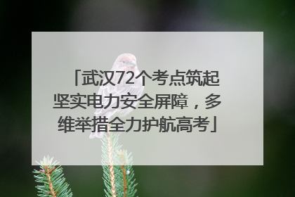 武汉72个考点筑起坚实电力安全屏障，多维举措全力护航高考