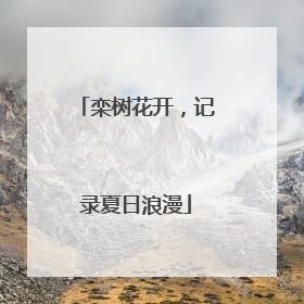 栾树花开，记录夏日浪漫
