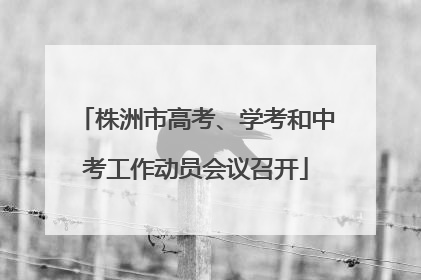 株洲市高考、学考和中考工作动员会议召开