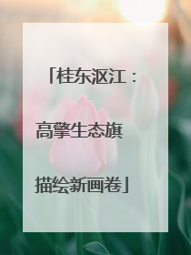 桂东沤江：高擎生态旗 描绘新画卷