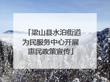 梁山县水泊街道为民服务中心开展惠民政策宣传