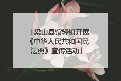 梁山县馆驿镇开展《中华人民共和国民法典》宣传活动