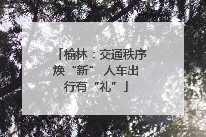 榆林：交通秩序焕“新” 人车出行有“礼”
