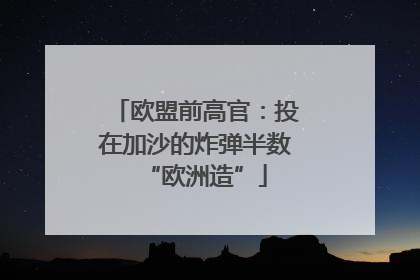 欧盟前高官：投在加沙的炸弹半数“欧洲造”