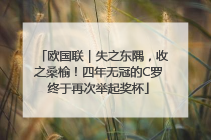 欧国联｜失之东隅，收之桑榆！四年无冠的C罗终于再次举起奖杯
