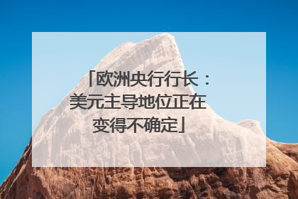 欧洲央行行长：美元主导地位正在变得不确定