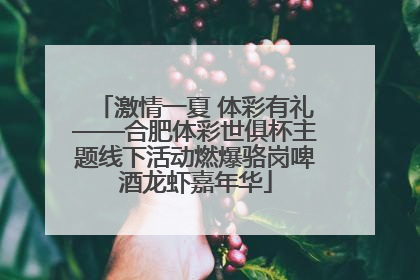 激情一夏 体彩有礼——合肥体彩世俱杯主题线下活动燃爆骆岗啤酒龙虾嘉年华