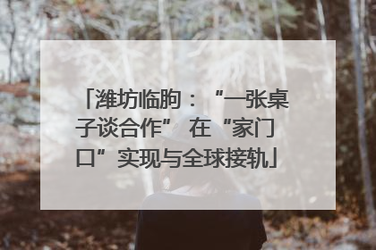 潍坊临朐：“一张桌子谈合作” 在“家门口”实现与全球接轨