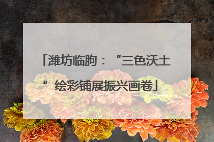 潍坊临朐：“三色沃土”绘彩铺展振兴画卷