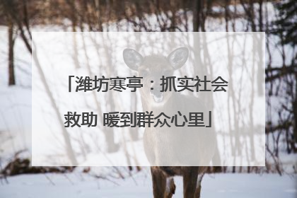 潍坊寒亭：抓实社会救助 暖到群众心里