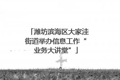 潍坊滨海区大家洼街道举办信息工作“业务大讲堂”