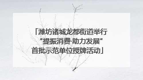 潍坊诸城龙都街道举行“提振消费·助力发展”首批示范单位授牌活动