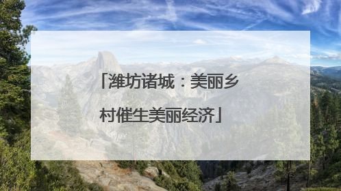 潍坊诸城：美丽乡村催生美丽经济