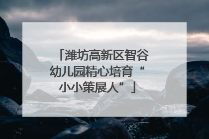 潍坊高新区智谷幼儿园精心培育“小小策展人”