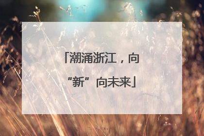 潮涌浙江，向“新”向未来