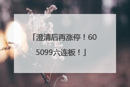 澄清后再涨停！605099六连板！