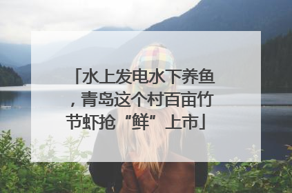 水上发电水下养鱼，青岛这个村百亩竹节虾抢“鲜”上市