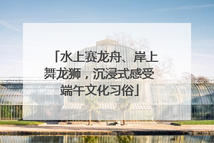 水上赛龙舟、岸上舞龙狮，沉浸式感受端午文化习俗