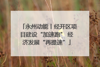 永州动能丨经开区项目建设“加速跑” 经济发展“再提速”
