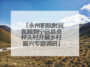 永州职院附属医院到宁远县桑梓头村开展乡村振兴专题调研