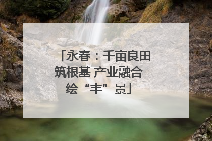 永春：千亩良田筑根基 产业融合绘“丰”景