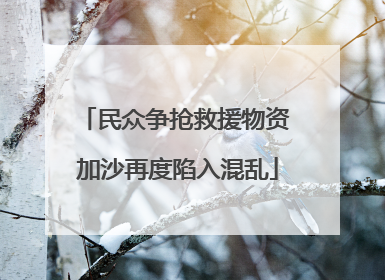 民众争抢救援物资 加沙再度陷入混乱