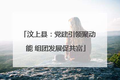 汶上县：党建引领聚动能 组团发展促共富