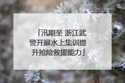 汛期至 浙江武警开展水上集训提升抢险救援能力