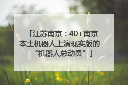 江苏南京：40+南京本土机器人上演现实版的“机器人总动员”