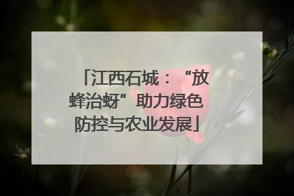 江西石城：“放蜂治蚜”助力绿色防控与农业发展