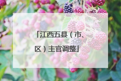 江西五县（市、区）主官调整