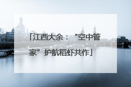 江西大余：“空中管家”护航稻虾共作