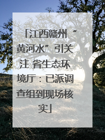江西赣州“黄河水”引关注 省生态环境厅：已派调查组到现场核实