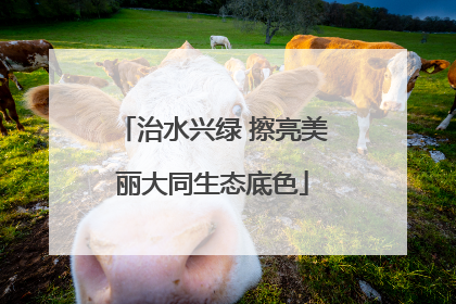 治水兴绿 擦亮美丽大同生态底色