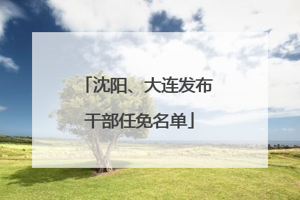 沈阳、大连发布干部任免名单