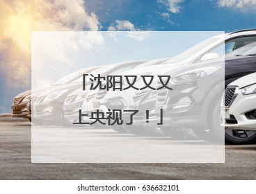 沈阳又又又上央视了！