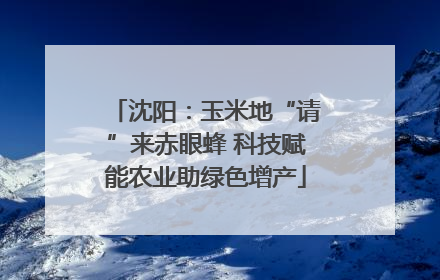 沈阳：玉米地“请”来赤眼蜂 科技赋能农业助绿色增产