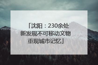 沈阳：230余处新发现不可移动文物重现城市记忆