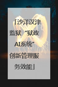 沙洋汉津监狱“狱政AI系统”创新管理服务效能
