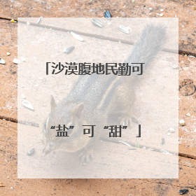 沙漠腹地民勤可“盐”可“甜”