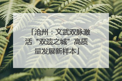 沧州：文武双脉激活“双遗之城”高质量发展新样本