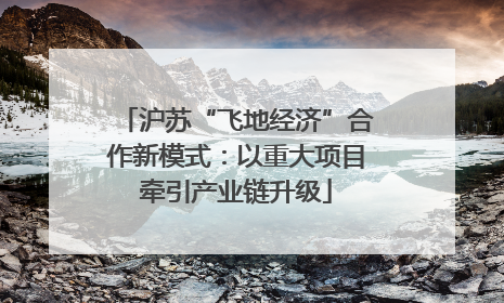 沪苏“飞地经济”合作新模式：以重大项目牵引产业链升级