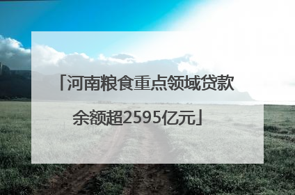 河南粮食重点领域贷款余额超2595亿元
