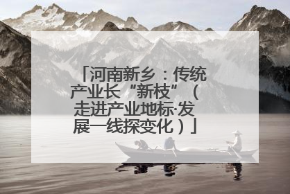 河南新乡：传统产业长“新枝”（走进产业地标·发展一线探变化）